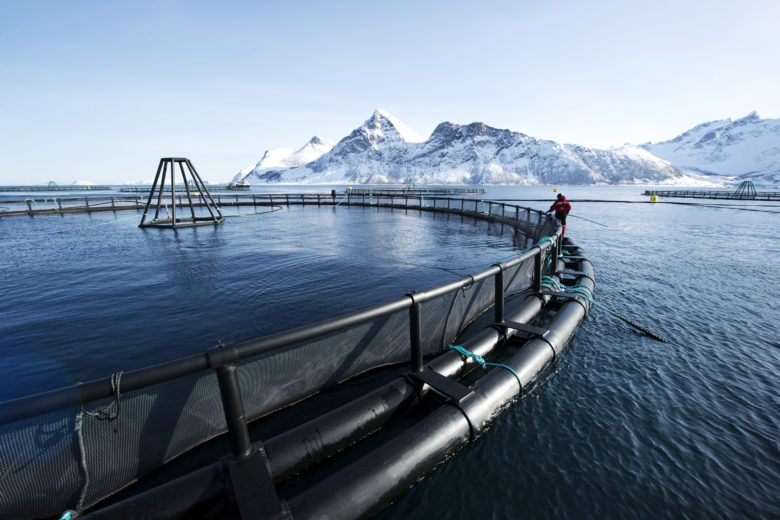 VISSCHER SEAFOOD weer in zee met HEUTBOUW