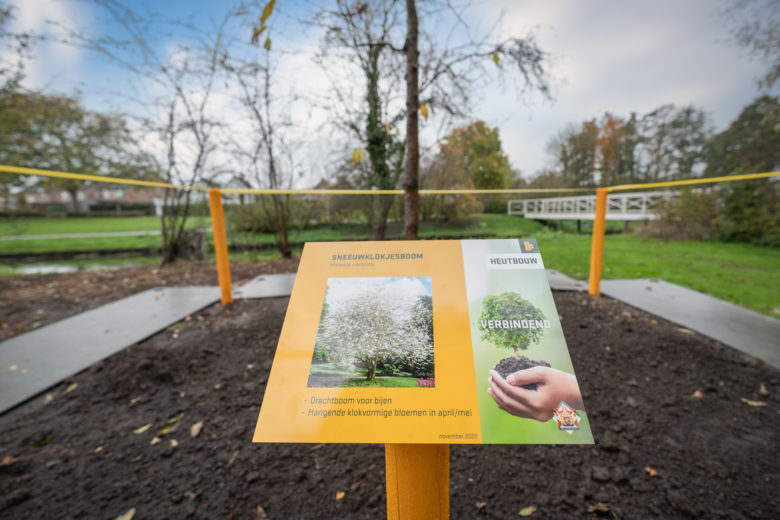 Zorginstellingen planten HEUTBOUW-bomen in plantsoen