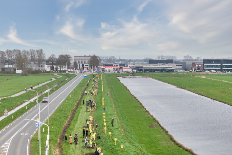 Ondernemers planten bomen langs de Randweg