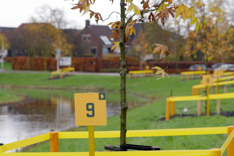 Buurtbewoners planten bomen langs de Koppel